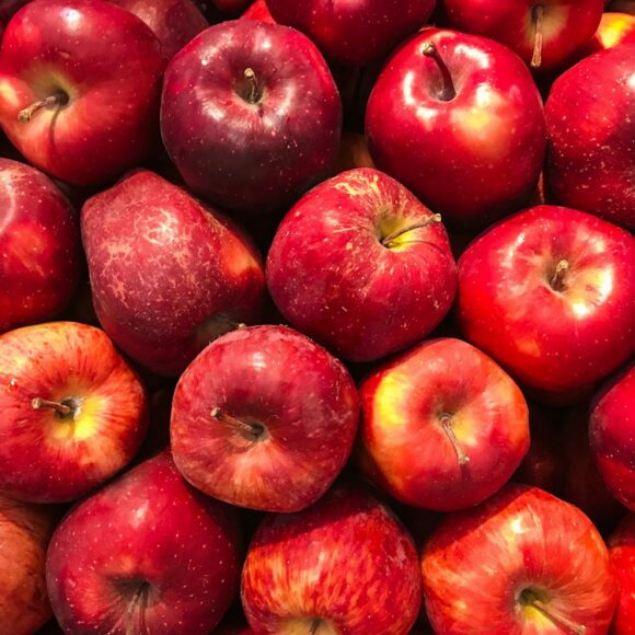 Nature’s Harvest design preview: apples