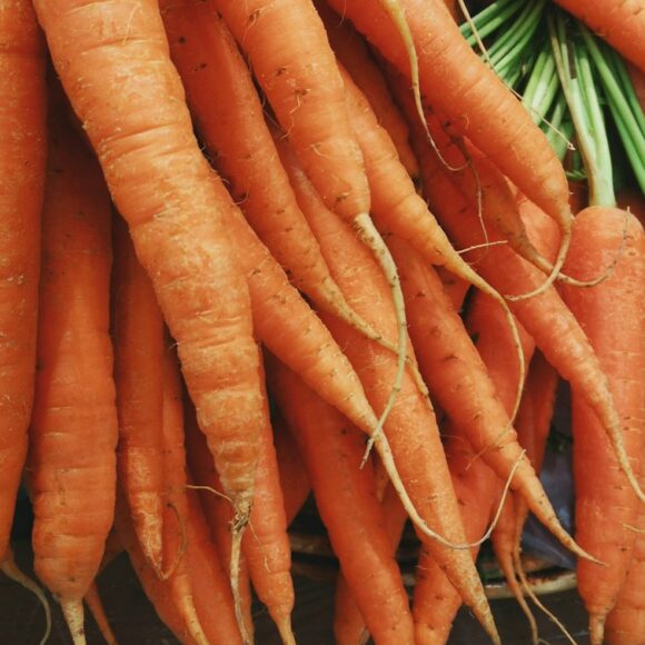 Nature’s Harvest design preview: carrots