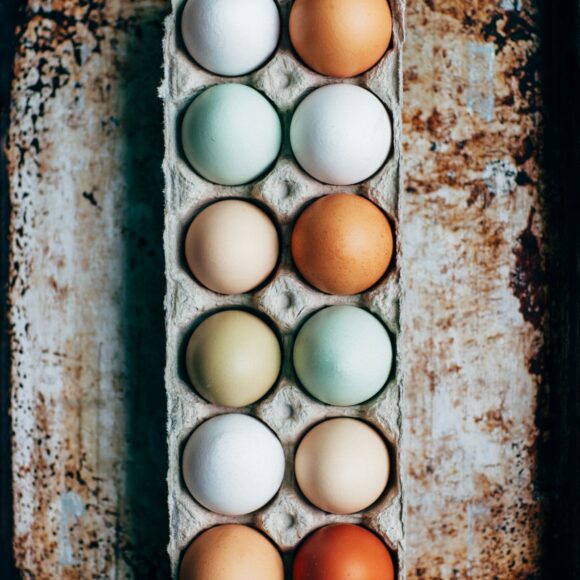 Nature’s Harvest design preview: eggs