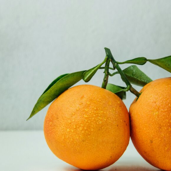 Nature’s Harvest design preview: oranges