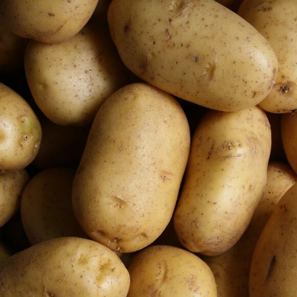 Nature’s Harvest design preview: potatoes